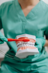 dentist showing patient how to brush teeth correctly